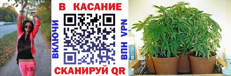 ГАШИШ Петухово