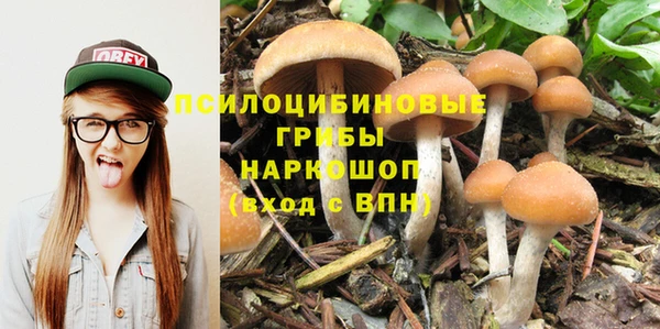 прущие грибы Арсеньев