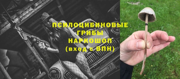 apvp Балабаново